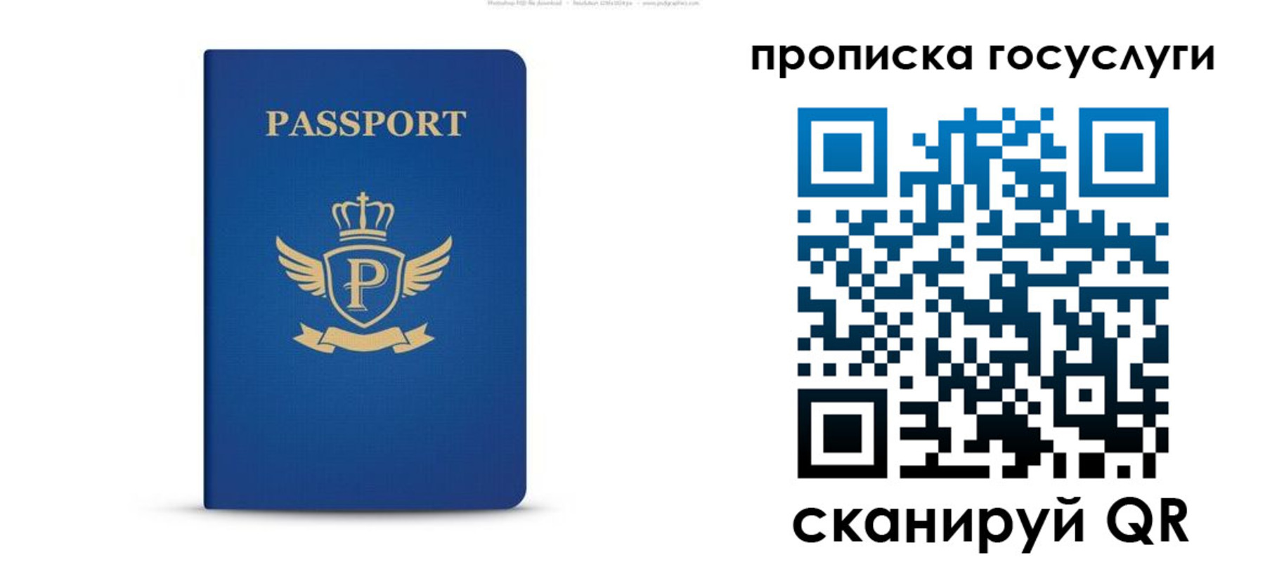 прописка для школы в Полярном